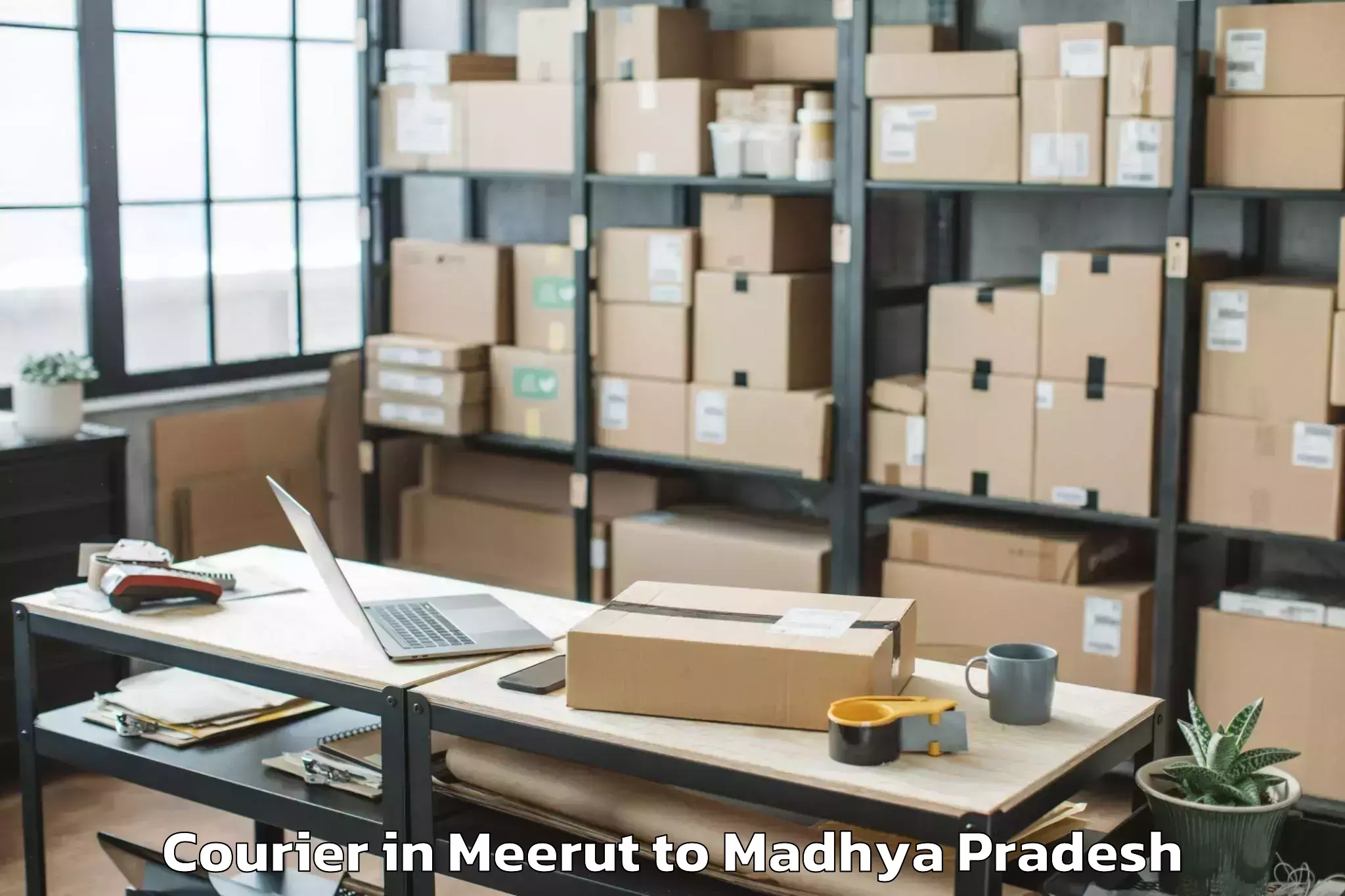 Book Meerut to Barghat Courier